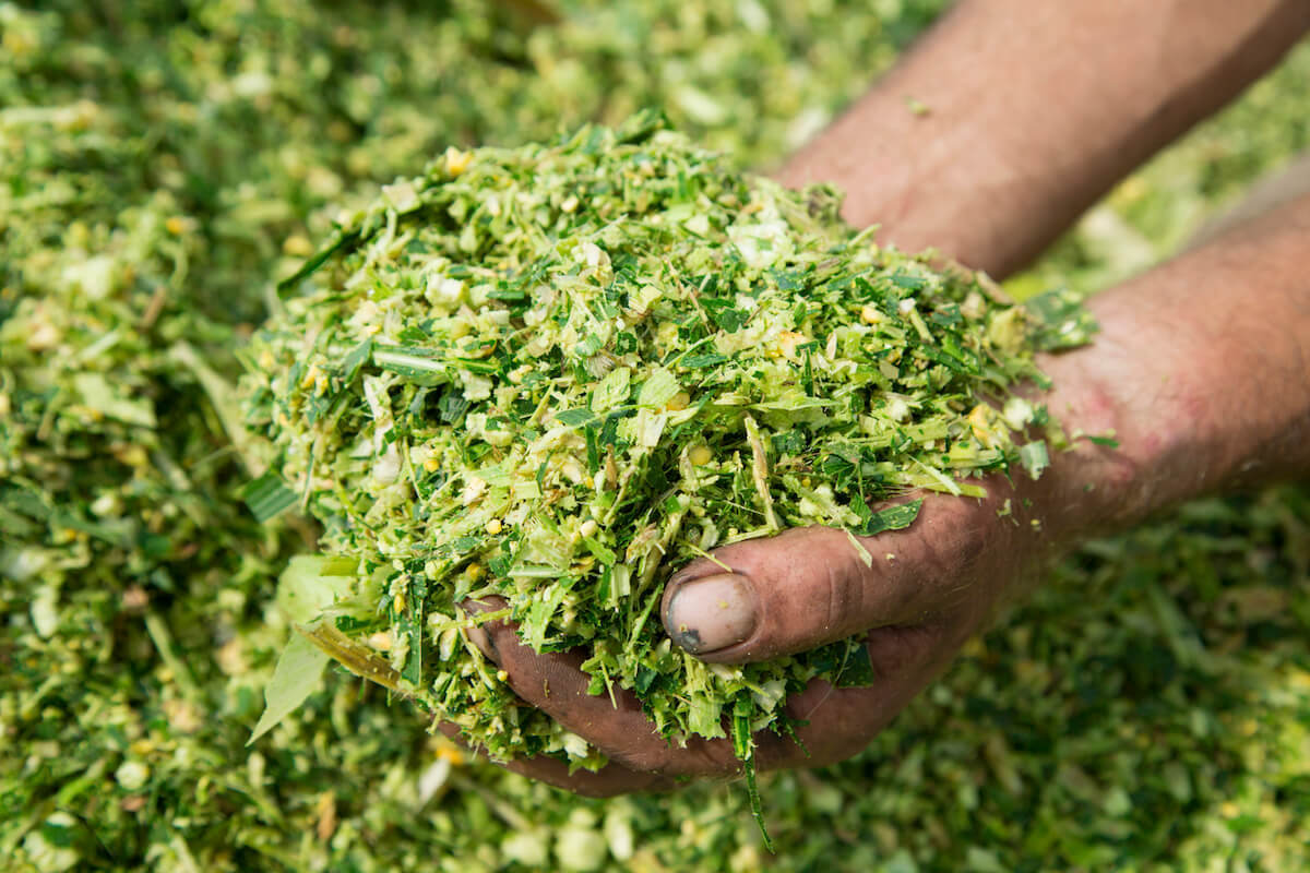 Commercialization and Manufacturing of Bio-Trace Minerals in Partnership with TDB (DST)